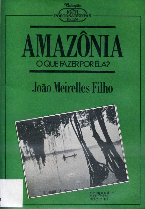 Amazônia: o que fazer por ela?